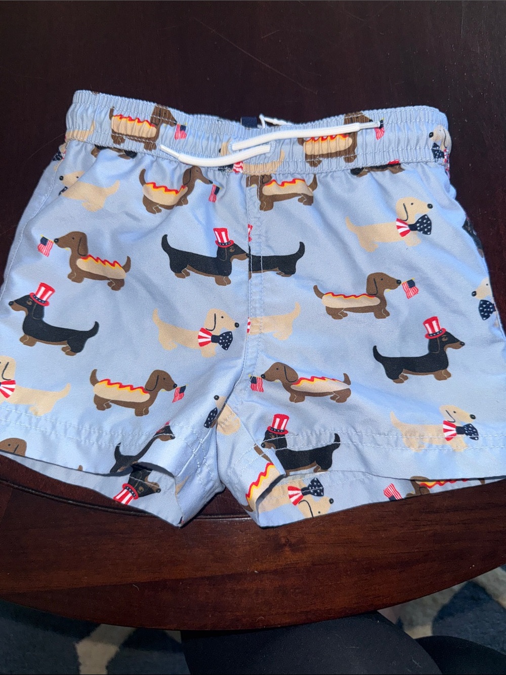Janie and Jack Light Blue Dachshund Print Swim Trunks